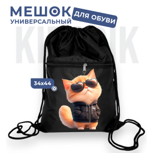 267781917 Мешок для обуви универсальный рыжий кот в очках